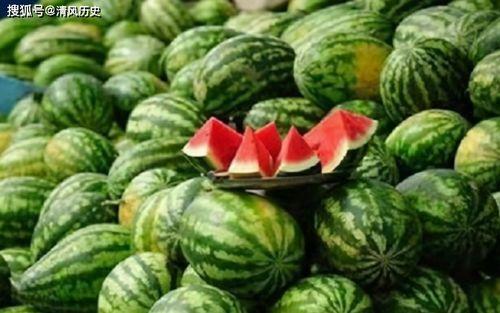 吃瓜官网首页,一站式美食探索之旅