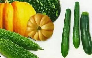 资源网吃瓜,揭秘网络热点背后的真相与笑料